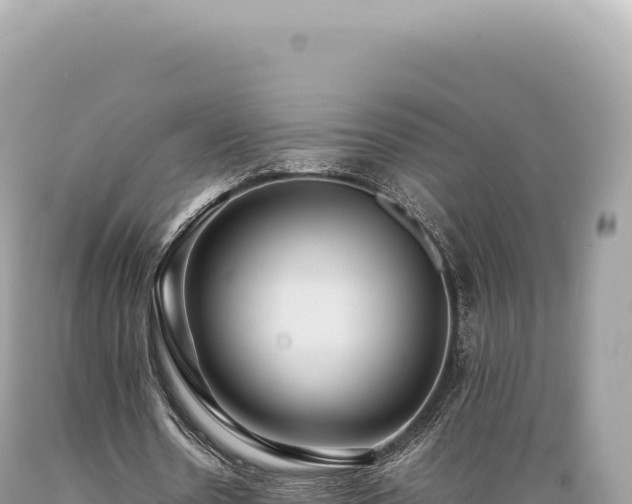 X0000089370530200706221223