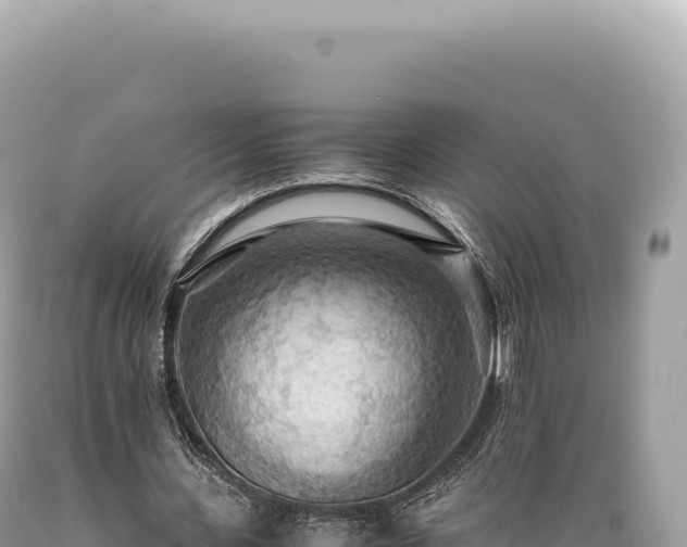 X0000089370531200706221223