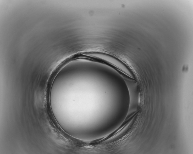 X0000089370532200706221223