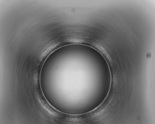 X0000089370533200706221223