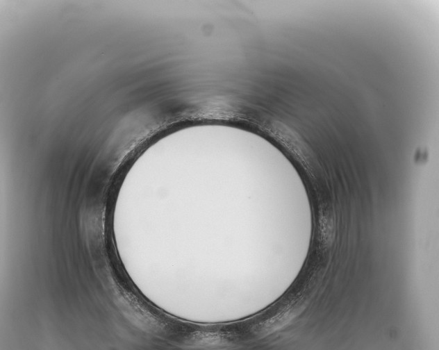 X0000089370534200706221223