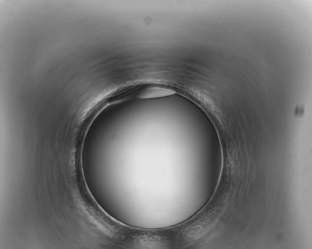 X0000089370535200706221223