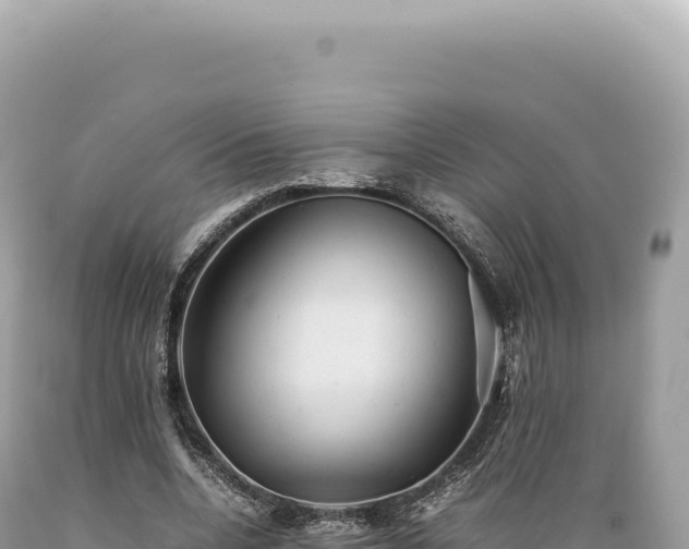X0000089370536200706221223
