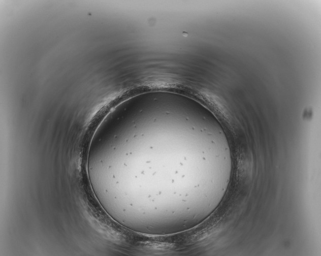 X0000089370539200706221223