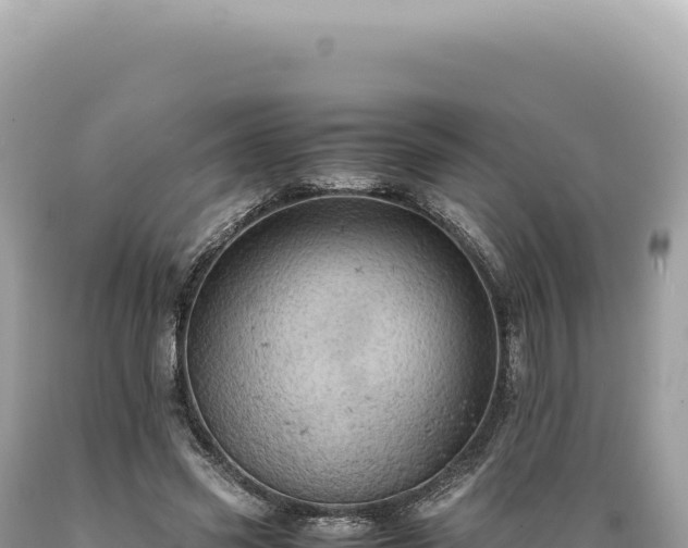X0000089370541200706221223