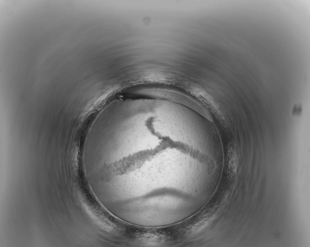X0000089370542200706221223