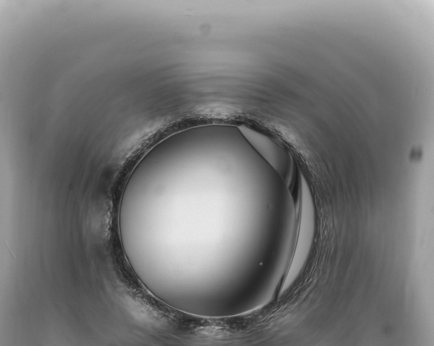 X0000089370544200706221223
