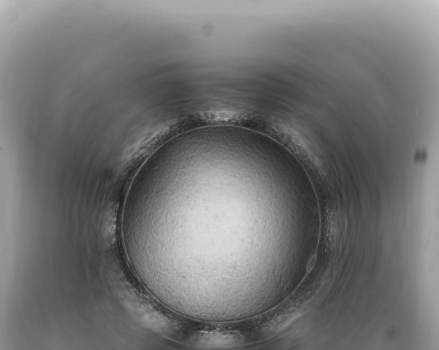 X0000089370545200706221223