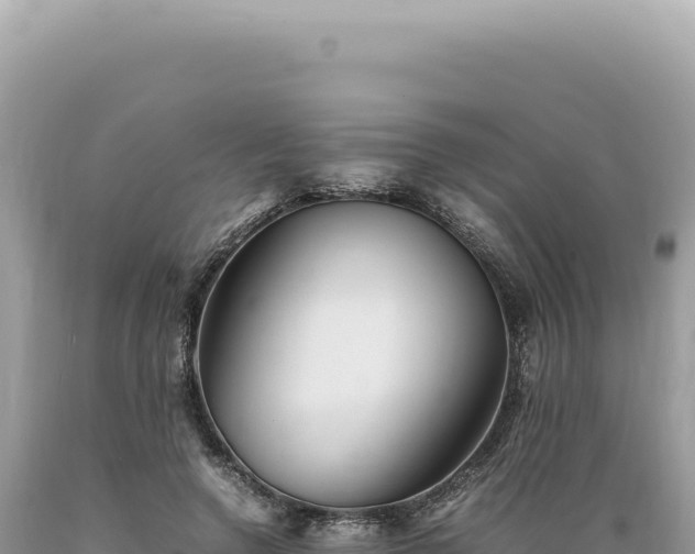 X0000089370546200706221223