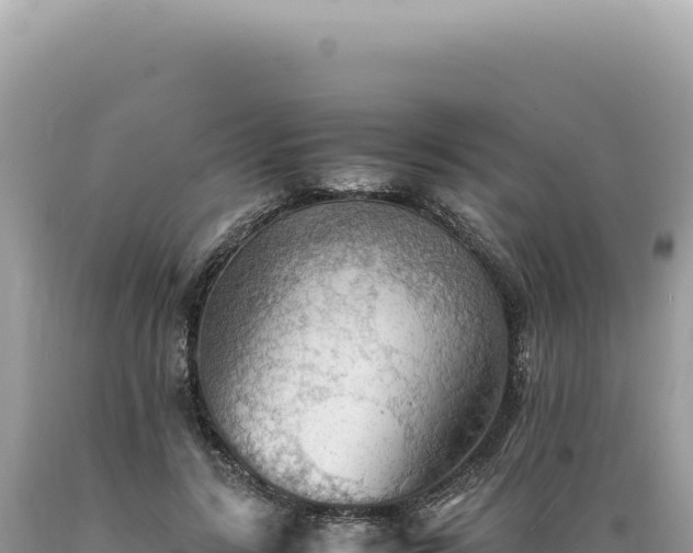 X0000089370547200706221223