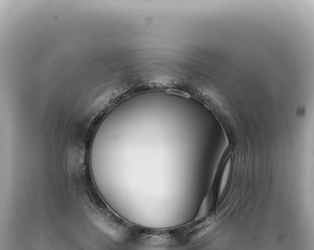 X0000089370548200706221223