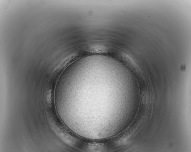 X0000089370549200706221223