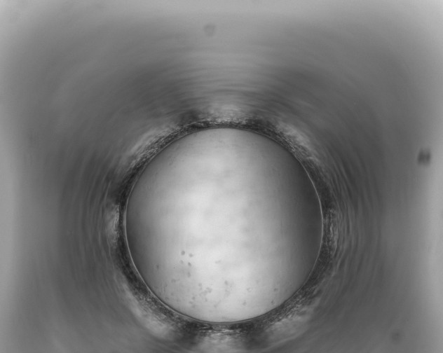 X0000089370550200706221223