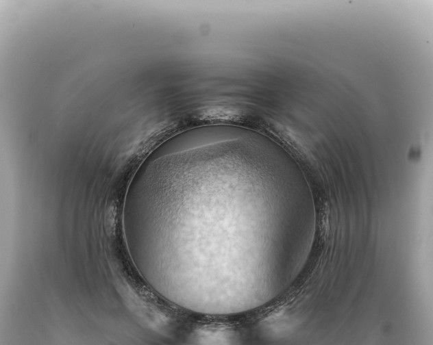 X0000089370551200706221223