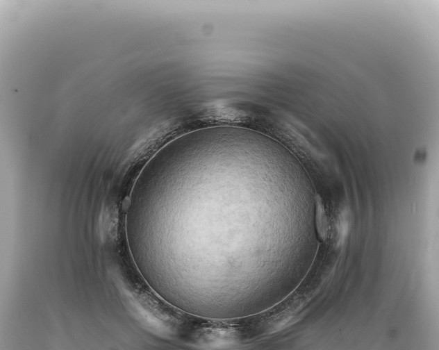 X0000089370552200706221223