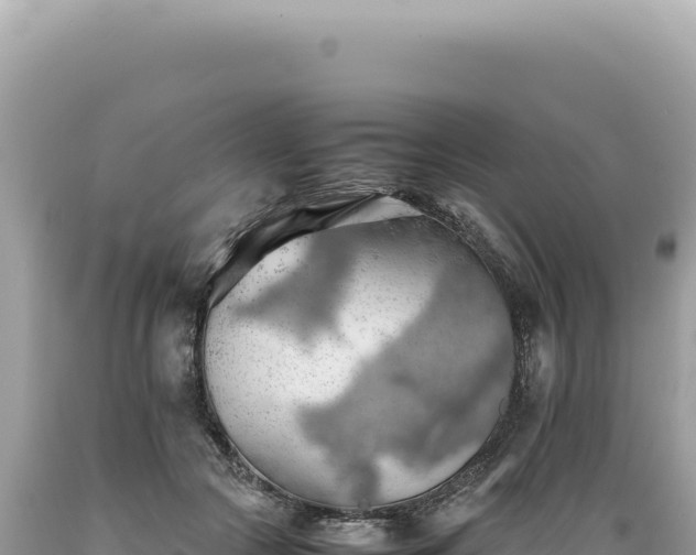 X0000089370553200706221224