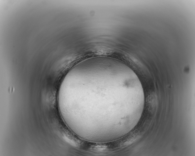 X0000089370554200706221224