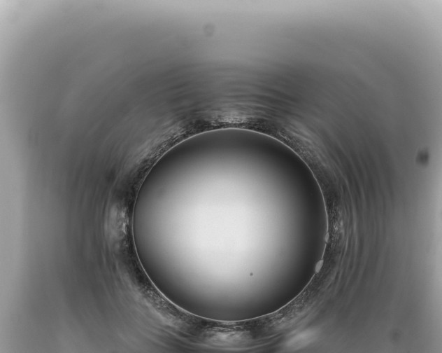 X0000089370555200706221224