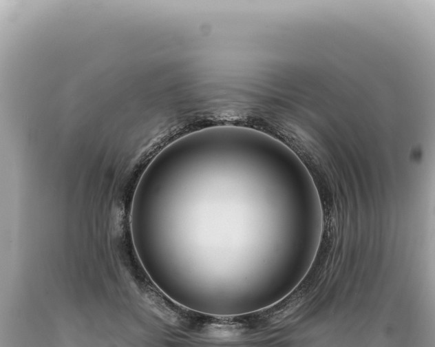 X0000089370556200706221224
