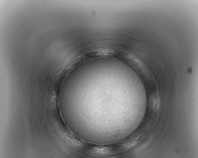 X0000089370557200706221224