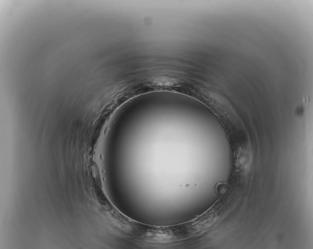 X0000089370559200706221224