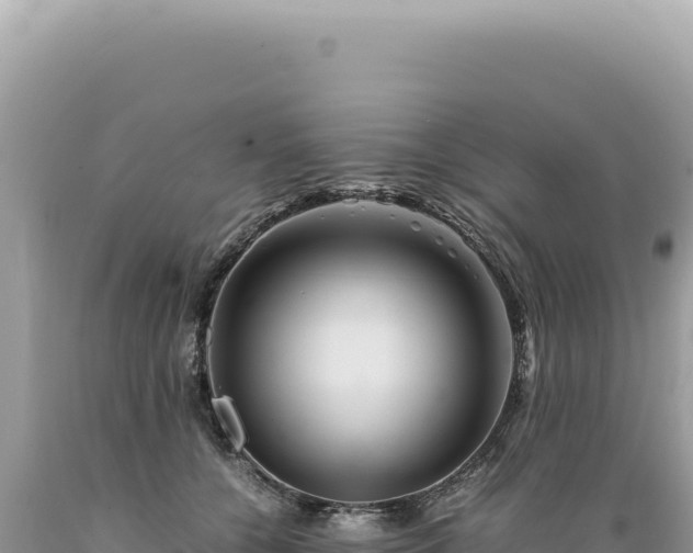 X0000089370560200706221224