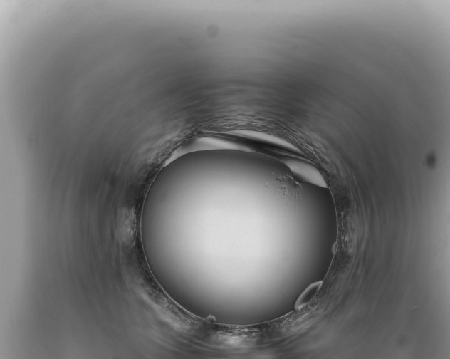 X0000089370563200706221224