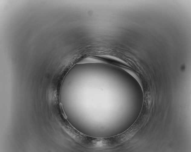 X0000089370564200706221224
