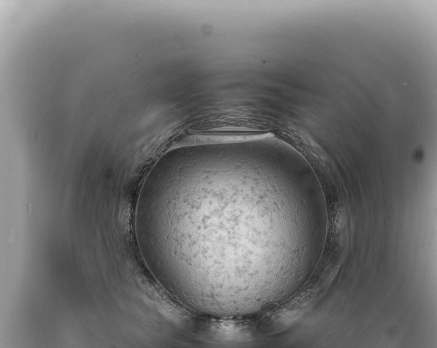 X0000089370565200706221224