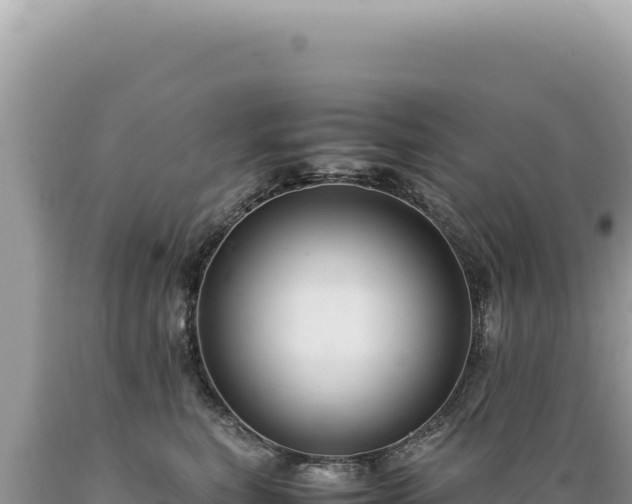 X0000089370567200706221224