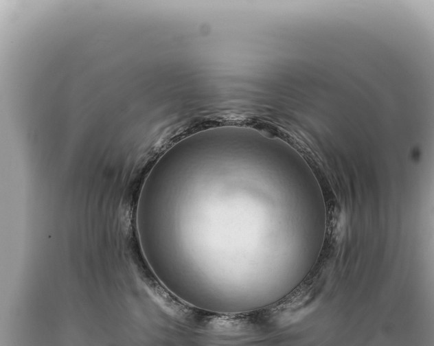 X0000089370568200706221224