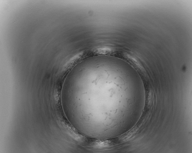 X0000089370569200706221224