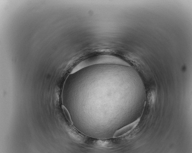 X0000089370570200706221224