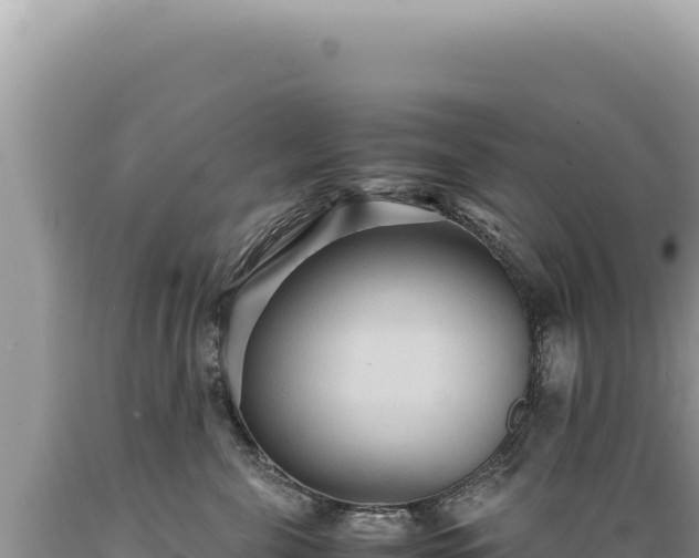 X0000089370571200706221224