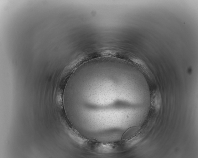 X0000089370573200706221224