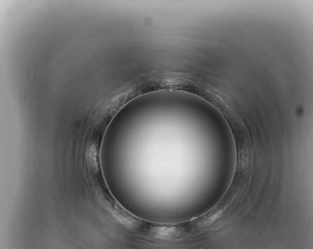 X0000089370575200706221224