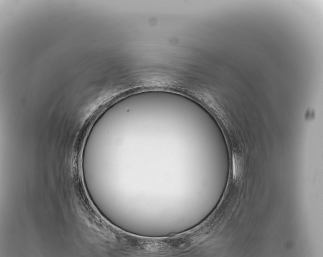 X0000089370579200706221223