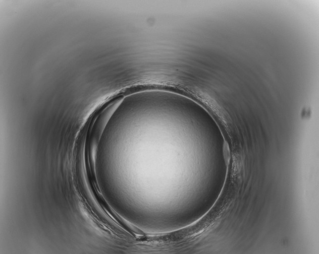 X0000089370580200706221223