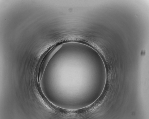 X0000089370581200706221223
