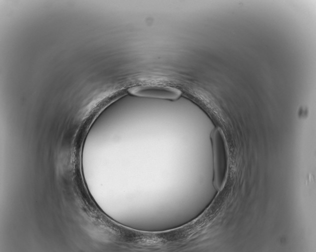 X0000089370583200706221223
