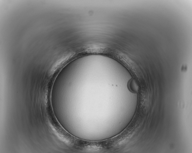 X0000089370586200706221223