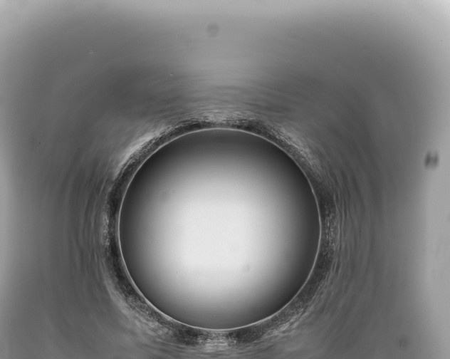 X0000089370587200706221223