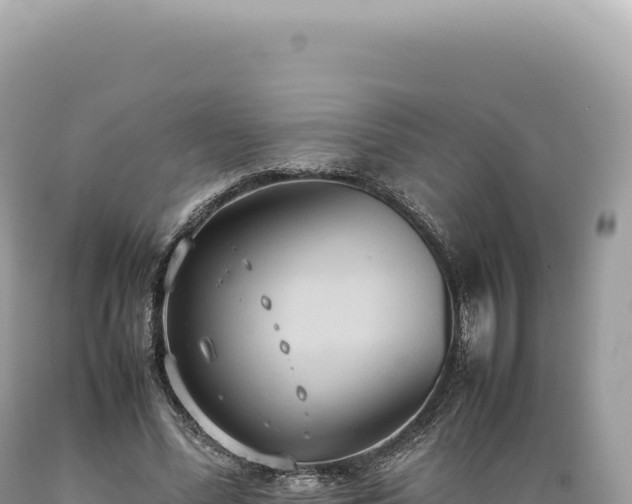 X0000089370588200706221223