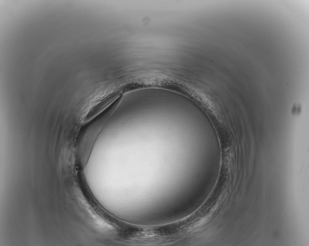 X0000089370589200706221223