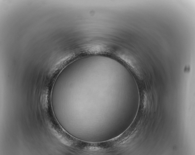 X0000089370590200706221223