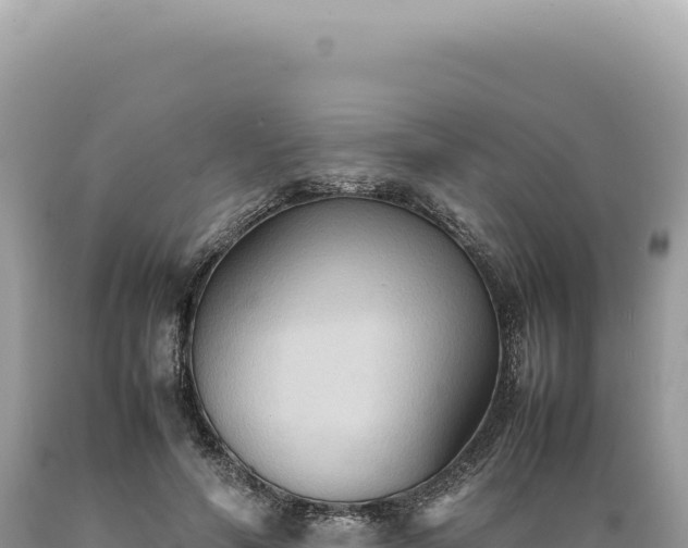 X0000089370594200706221223