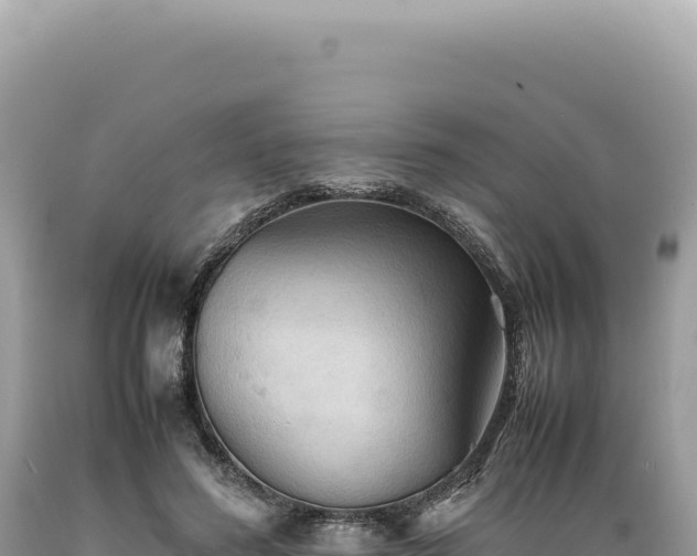X0000089370596200706221223