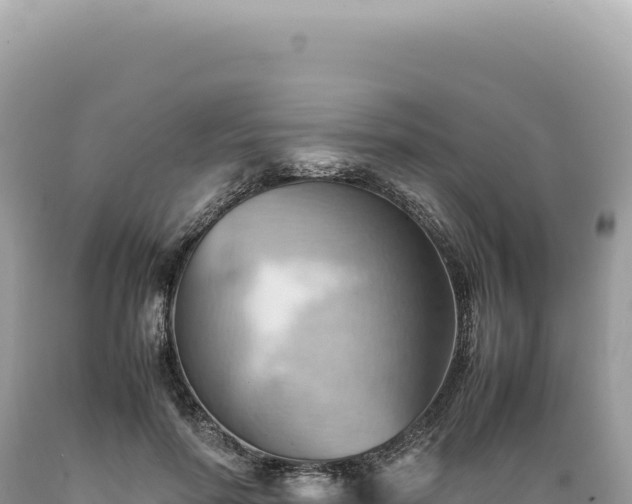 X0000089370598200706221223