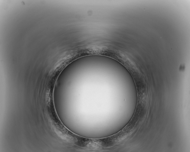 X0000089370599200706221223