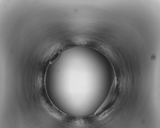 X0000089370600200706221223